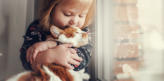 Articles deatil banner